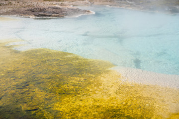 Hot Spring in Yellowstone. Morning Glory Pool in Yellowstone National Park of Wyoming