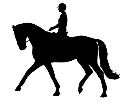 A silhouette of a rider on a horse execute the walk.