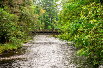 A small pedestrian bridge over river Eachaig in Benmore Botanic Garden, Scotland