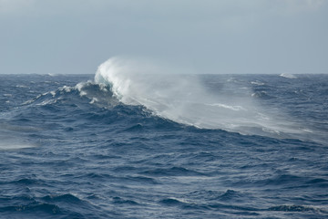 storm wave moves against the wind