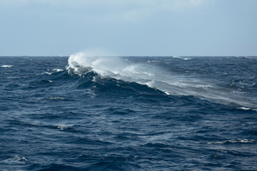 Naklejka premium ocean wave moving against the wind