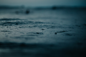 rain