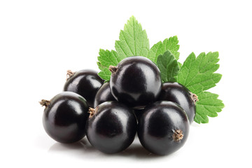 black currant with leaf isolated on white background