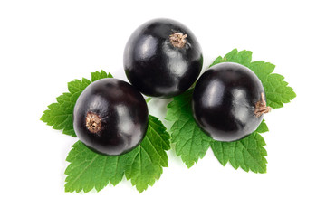 black currant with leaves isolated on white background. Top view. Flat lay pattern