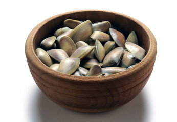 Donax trunculus Tellina Обрезанный донакс Wedge clam Arsella Cadelucha Telline Arselle ft81071271