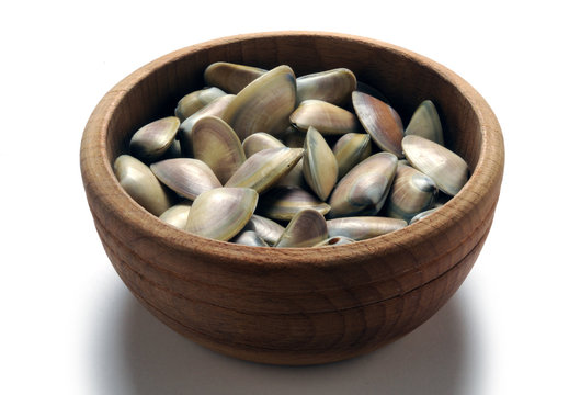 Donax trunculus Tellina Обрезанный донакс Wedge clam Arsella Cadelucha Telline Arselle ft81071271