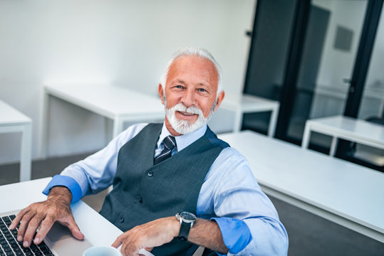 Portrait of charming senior businessman.