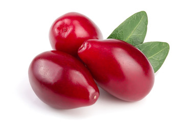 Red berries of cornel or dogwood with leaf isolated on white background