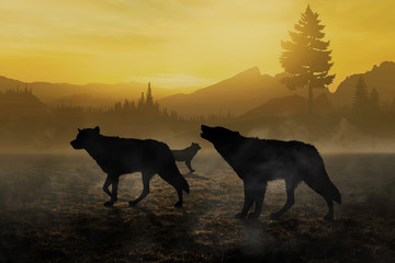 pack of wolves in the woods immersed in the morning fog