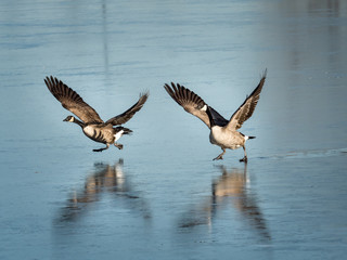 Time for an icy runway takeoff