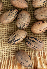 Pecans in shells scattered on burlap.
