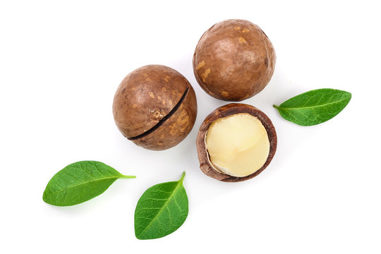 Shelled and unshelled macadamia nuts with leaves isolated on white background with copy space for your text. Top view. Flat lay pattern