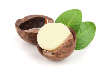 Shelled macadamia nuts with leaves isolated on white background