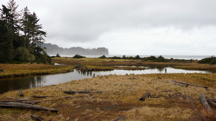 Rainy Afternoon on the Dungeness River Delta