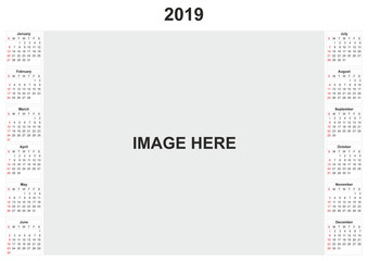 2019 calendar with white background.
