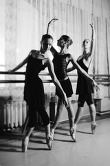 Obraz premium three young cute ballerinas perform exercises on a choreographic machine or barre on the background of a ballet class