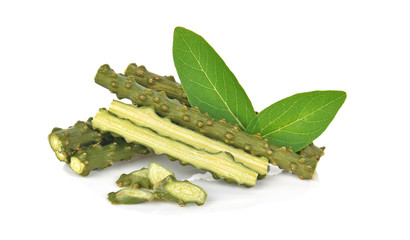 Tinospora cordifolia isolated on white  background