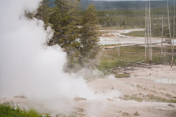 Yellowstone national park landscape. Geothermal activity, hot thermal springs with boiling water and fumes at Yellowstone National Park, USA