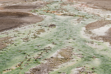 Yellowstone national park landscape. Geothermal activity, hot thermal springs with boiling water and fumes at Yellowstone National Park, USA