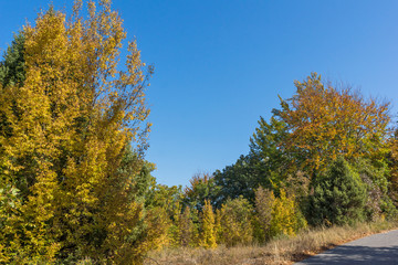 Fototapeta premium Autumn landscape of Ruen Mountain - northern part of Vlahina Mountain, Kyustendil Region, Bulgaria