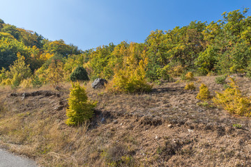 Autumn landscape of Ruen Mountain - northern part of Vlahina Mountain, Kyustendil Region, Bulgaria