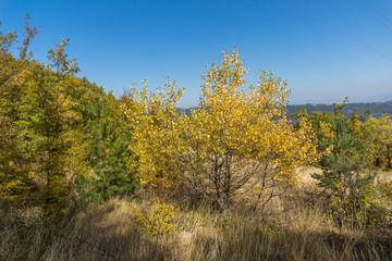 Fototapeta premium Autumn landscape of Ruen Mountain - northern part of Vlahina Mountain, Kyustendil Region, Bulgaria
