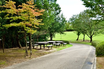 初秋の公園情景