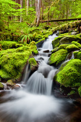 A small cascade flowing near Sol Duc Falls, Olympic National Forest, Washington, USA