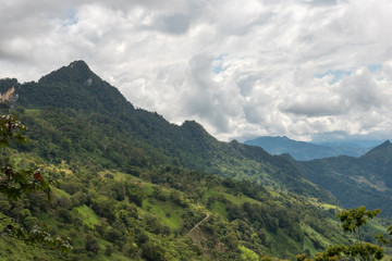 Fototapeta na wymiar Environmental landscape with mountains full of trees. Colombia