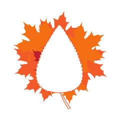 Group of leaves and a silhouette of a leaf. Vector illustration design