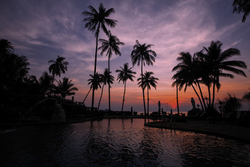 Fototapeta na wymiar Amazing twilight on the sea beach in subtropics with palm silhouettes.