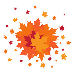Group of autumn leaves. Vector illustration design
