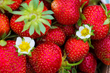 organic strawberries background