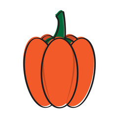 Sketch of a pumpkin. Thanksgiving day. Vector illustration design