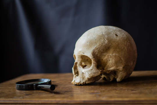 Un d&iacute;a de investigaci&oacute;n forense
