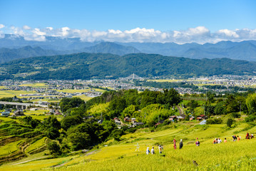 稲倉の棚田と北アルプス