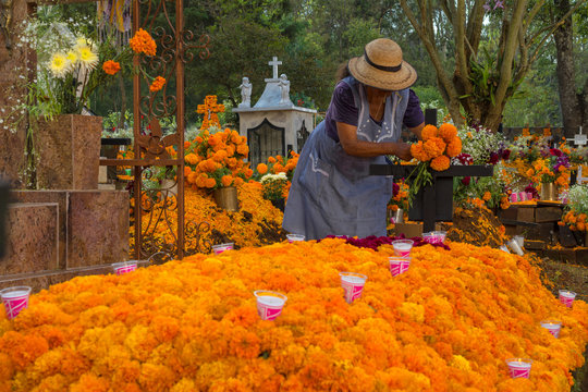 La se&ntilde;ora adorna la tumba con flores de cempas&uacute;chil el d&iacute;a de los muertos.