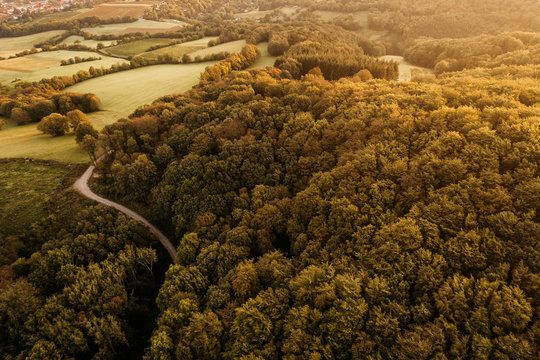 Austria, Lower Austria, Vienna Woods, Biosphere Reserve Vienna Woods, Aerial view of forest in the early morning
