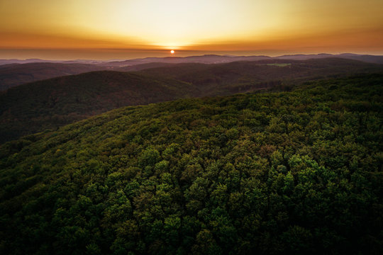 Austria, Lower Austria, Vienna Woods, Biosphere Reserve Vienna Woods, Aerial view of forest at sunrise