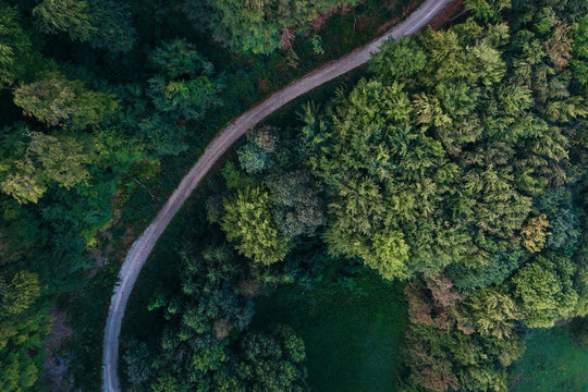 Austria, Lower Austria, Vienna Woods, Biosphere Reserve Vienna Woods, Aerial view of dirt road and forest in the early morning