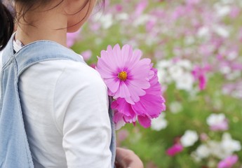 コスモス畑で花を摘む女の子