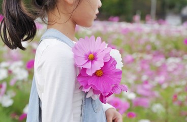 Fototapeta premium コスモス畑で花を摘む女の子