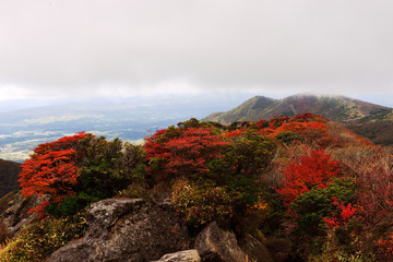 くじゅうの紅葉
