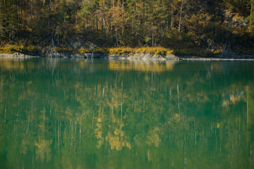 Fototapeta premium Golden autumn