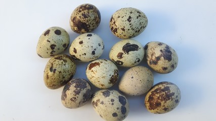 Fototapeta premium oeufs de caille sur fond blanc