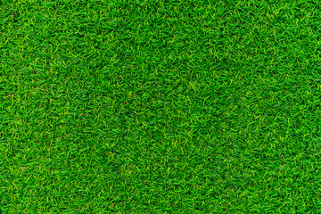 Obraz na płótnie Canvas Green grass background texture