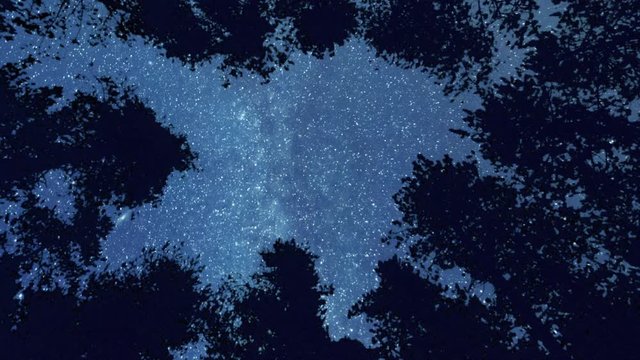 Stars and Milky Way on a dark night in the forest, rotating timelapse.
