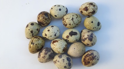 oeufs de caille sur fond blanc