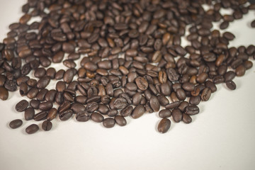 coffee bean Arabica.