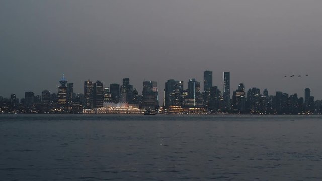 Birds flying over Vancouver downtown skyline in evening